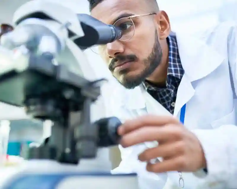 Why STEM Education is Essential: Understanding Its Impact on Society and Economic Growth